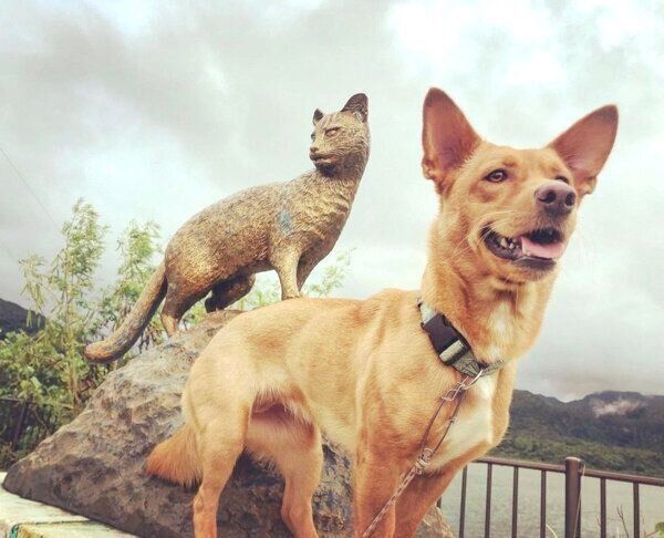 微笑むむぎちゃん