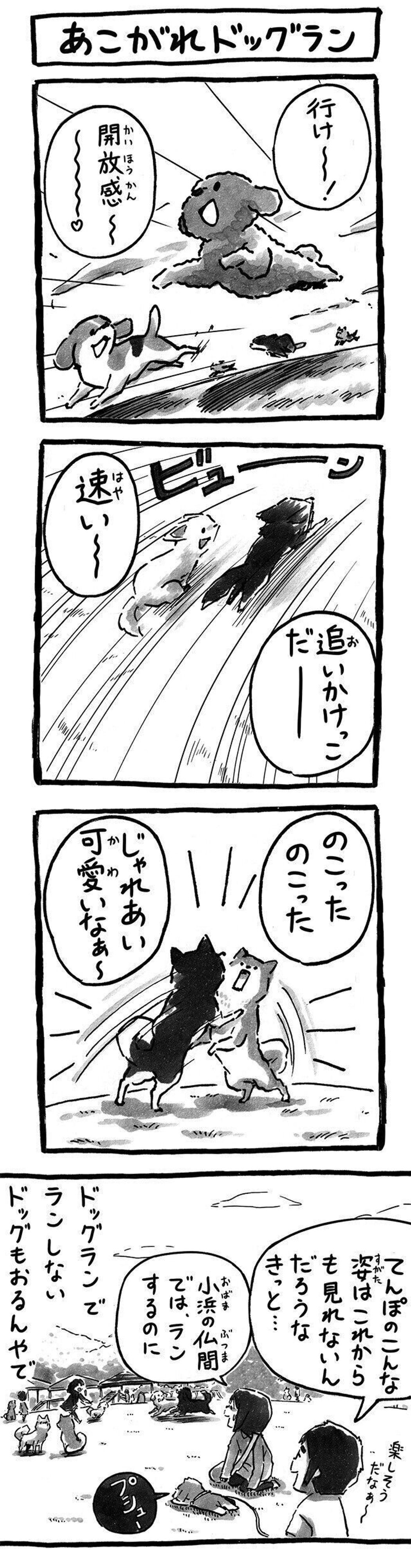 ドッグランだぞ さあ と言われても 連載 シーズー犬のてんぽ 第159回 いぬのきもちweb Magazine ドッグランだぞ さあ と言われても 連載 シーズー犬のてんぽ 第159回 いぬのきもちweb Magazine