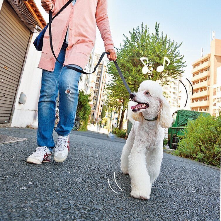 撮影／佐藤正之