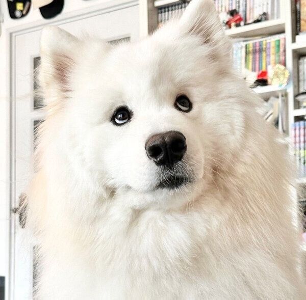 白目をチラッと見せるソランくん