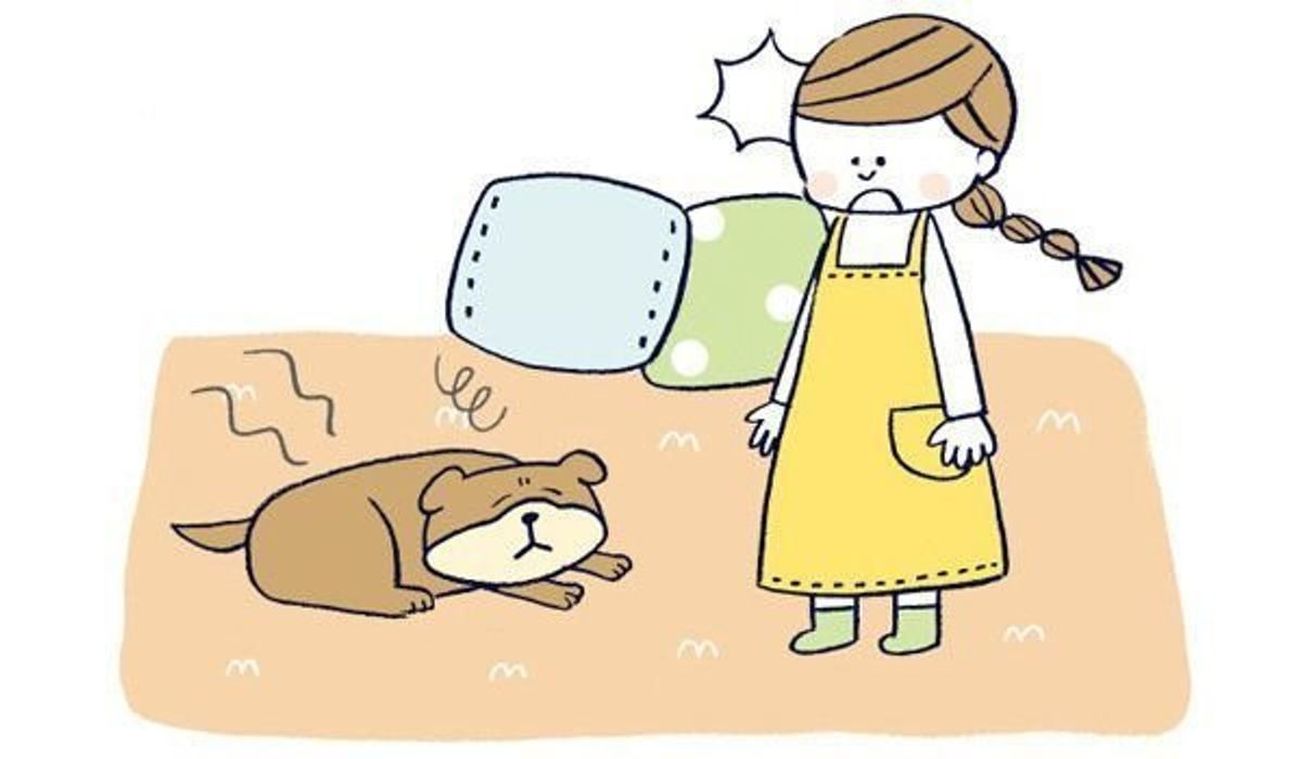 愛犬が腰を抜かした こちら いぬのきもち獣医師相談室です いぬのきもちweb Magazine 愛犬が腰を抜かした こちら いぬのきもち獣医師相談室です いぬのきもちweb Magazine