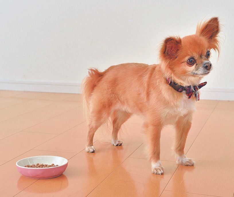 撮影／佐藤正之