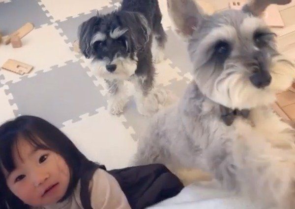 集まってきたジジちゃん・トトちゃん・娘さん