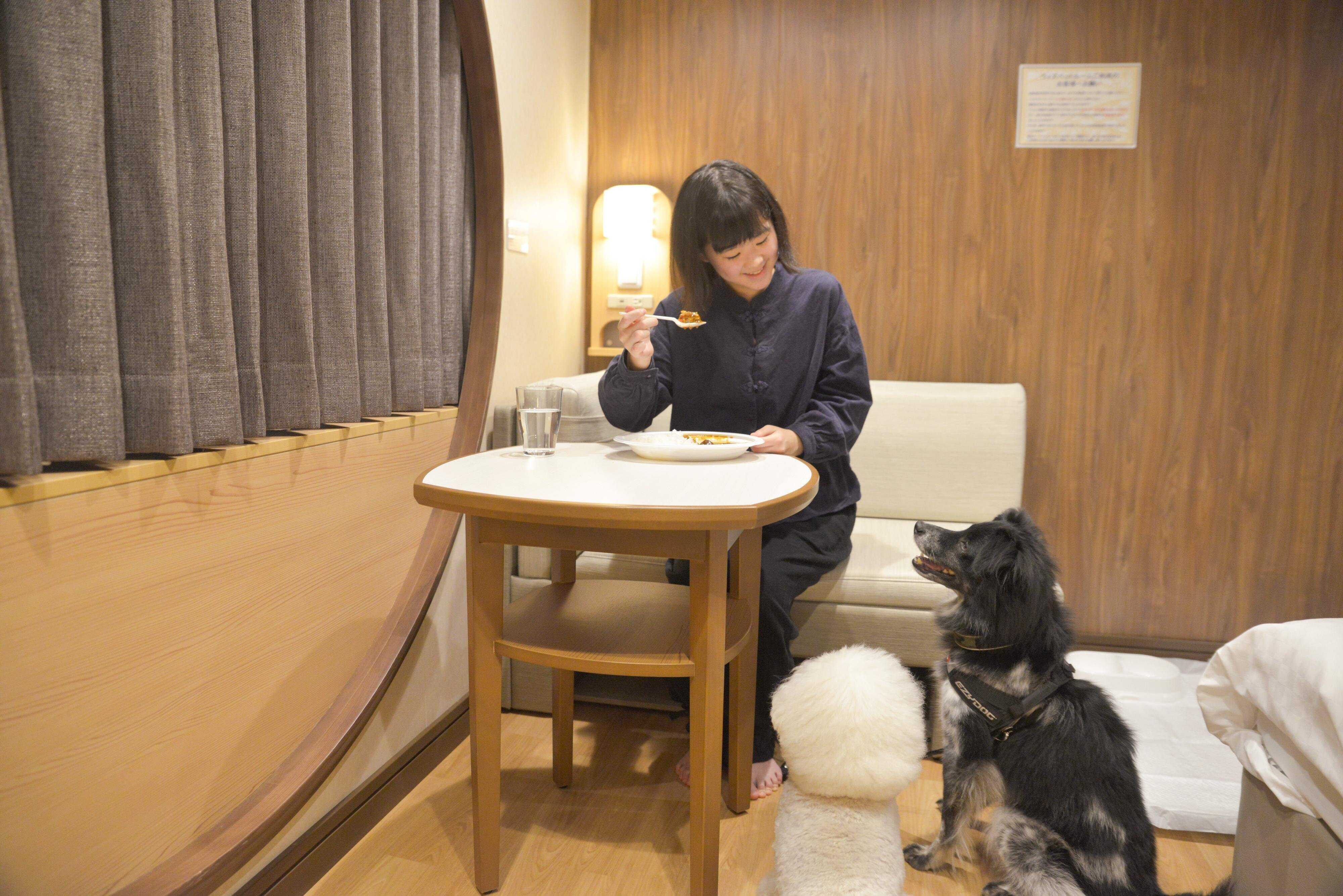 本格的なカレーをテイクアウトできます