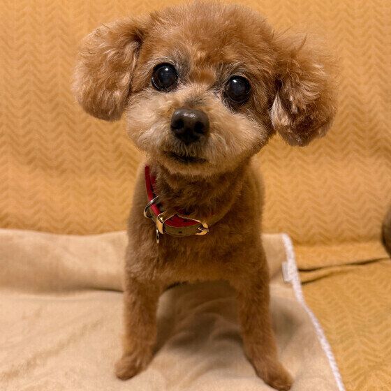 まんまるのお目目♪