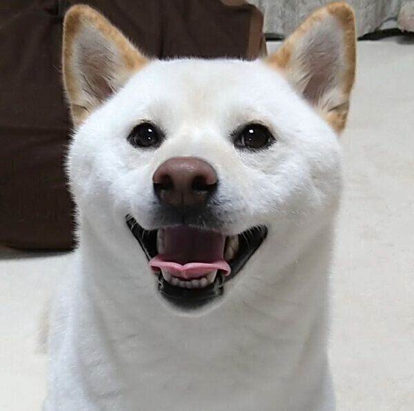 笑顔が可愛らしいはるちゃん