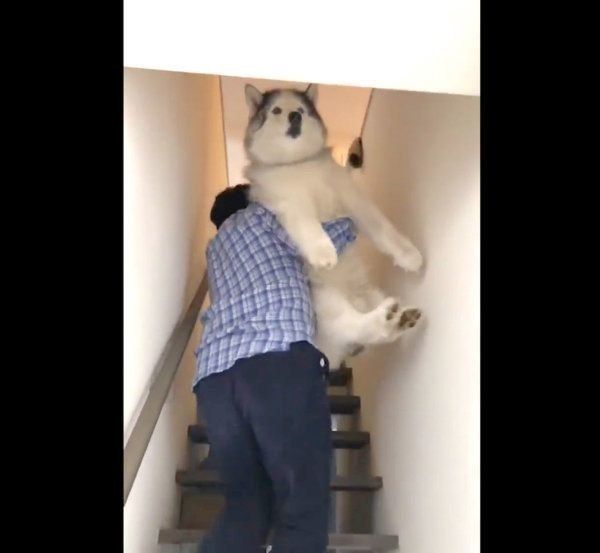 お風呂場に連行されるフィスくん