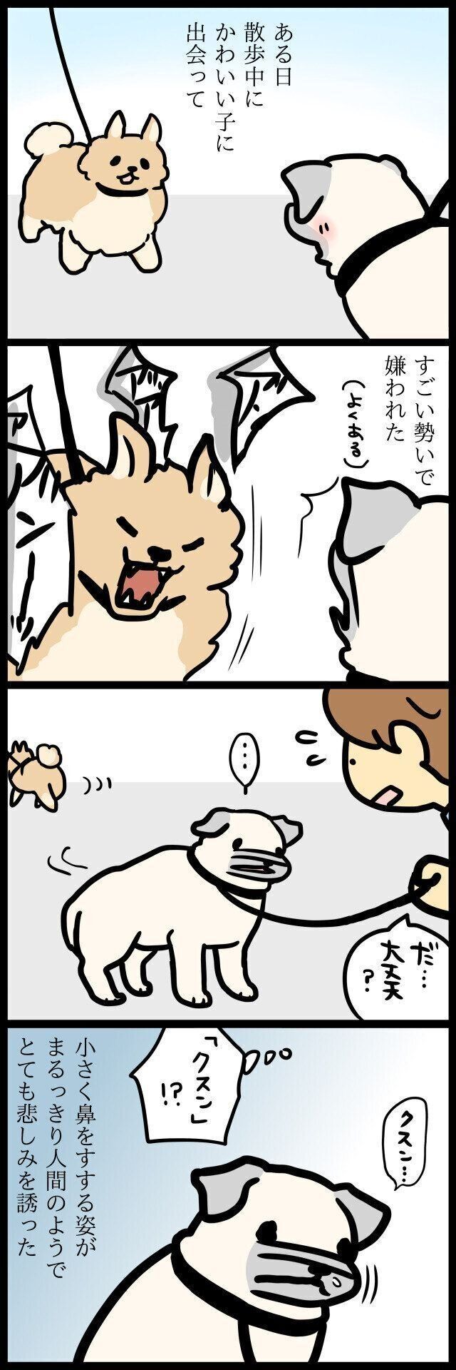 【連載】パグ犬めー
