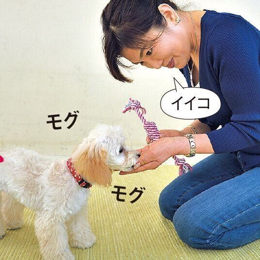 撮影／佐藤正之