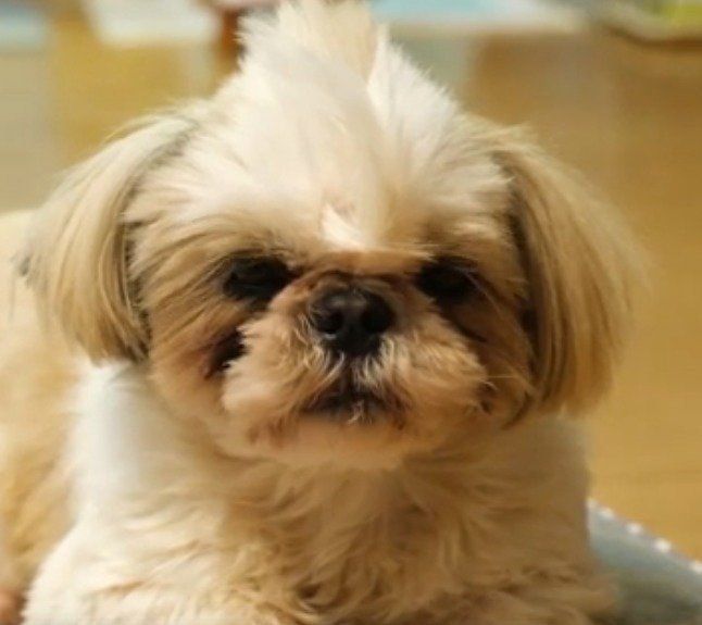 眠そうなえいとくん