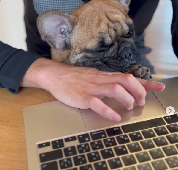 飼い主さんに甘えるシャルルくん