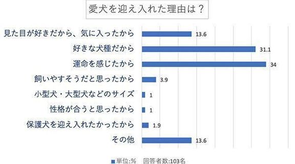 愛犬を迎え入れた理由は?