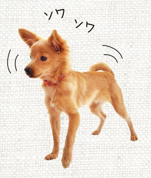 撮影／佐藤正之