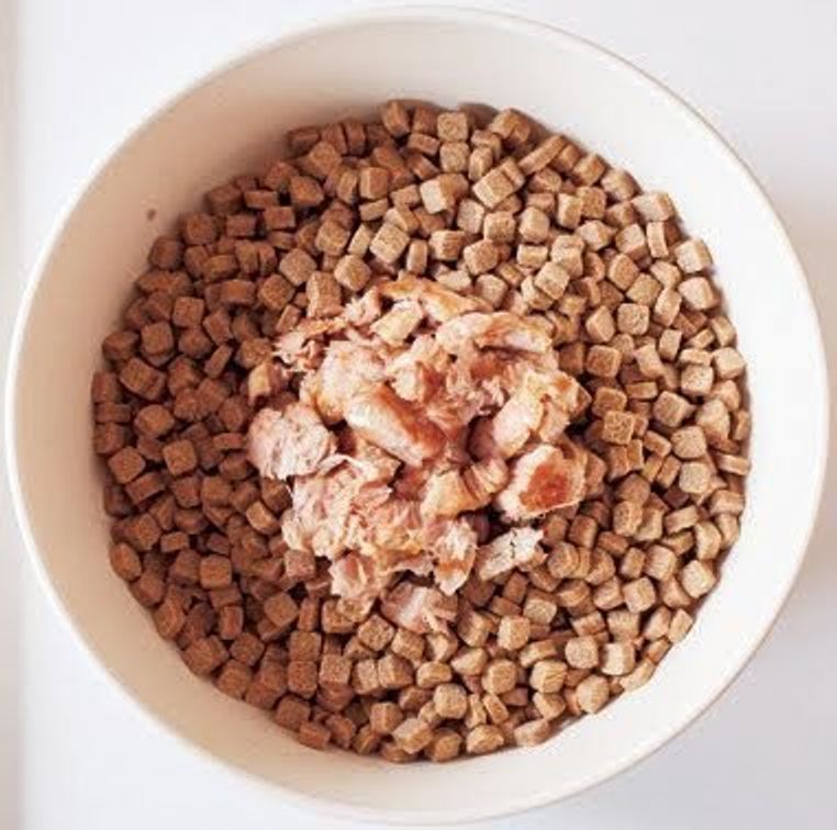 専門家監修 ドッグフードの手作り簡単レシピ 健康への注意点とともにご紹介 いぬのきもちweb Magazine 専門家監修 ドッグフードの手作り簡単レシピ 健康への注意点とともにご紹介 いぬのきもちweb Magazine