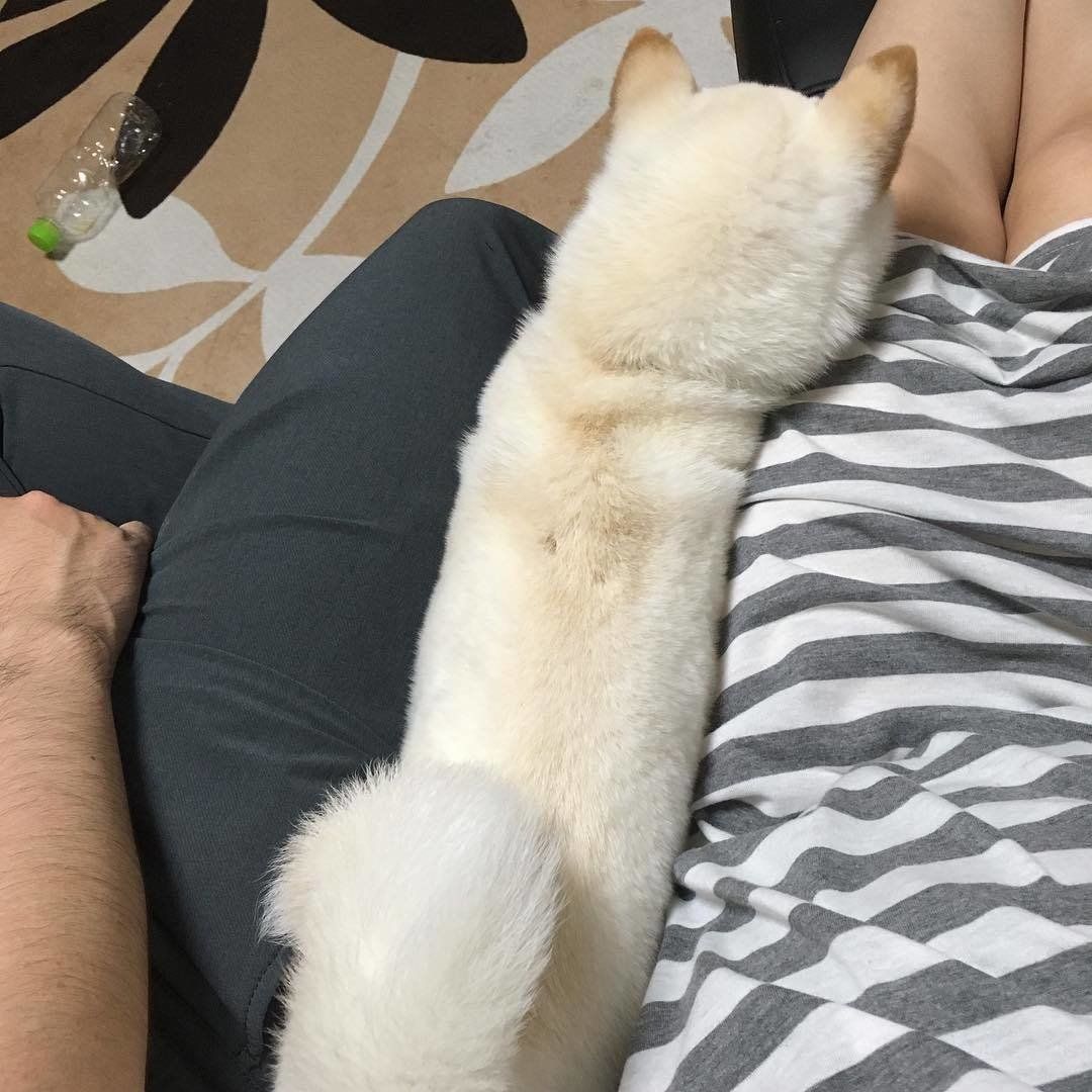 割り込むちゅらちゃん