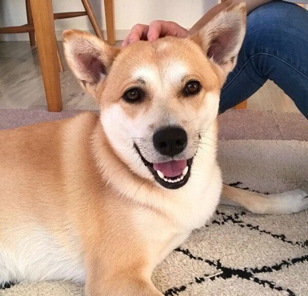 笑顔のくるみちゃん