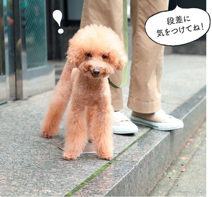 散歩中の「見て話す」