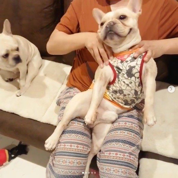 マッサージをしてもらうボブくん