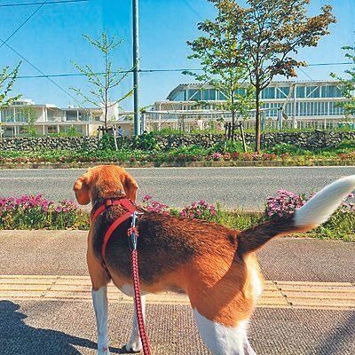 避難先の小学校の前にて