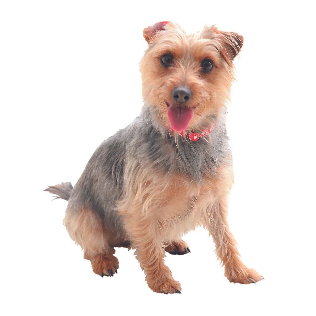 撮影／尾﨑たまき