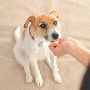 撮影/尾﨑たまき