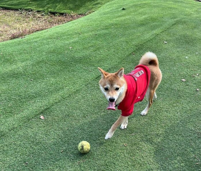 遊ぶイチローくん