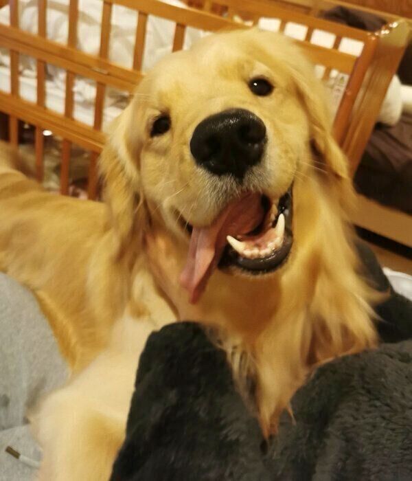 笑顔のふぉるてくん