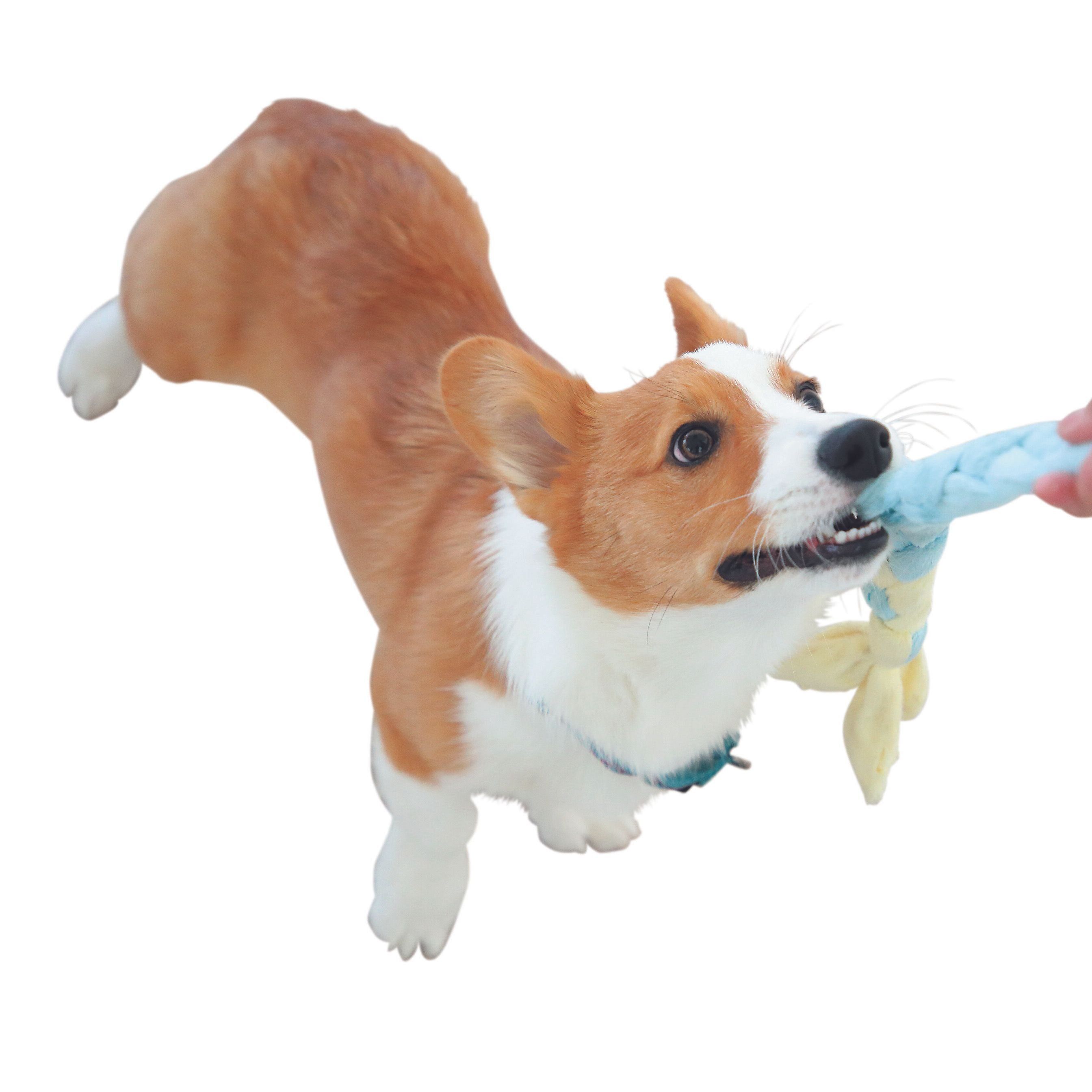 撮影／尾﨑たまき