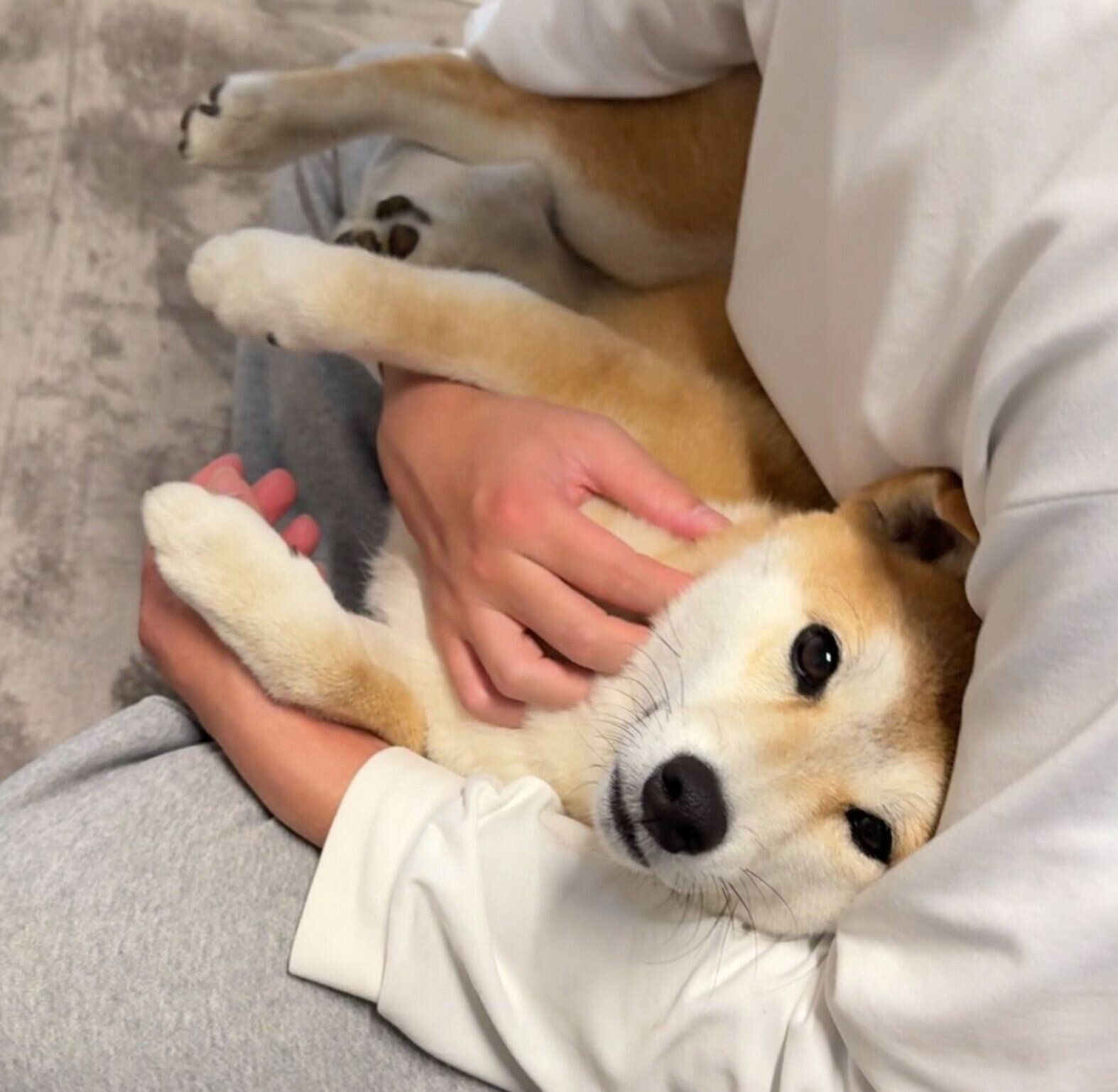 2才になったばかりのころに撮影したつくねちゃん