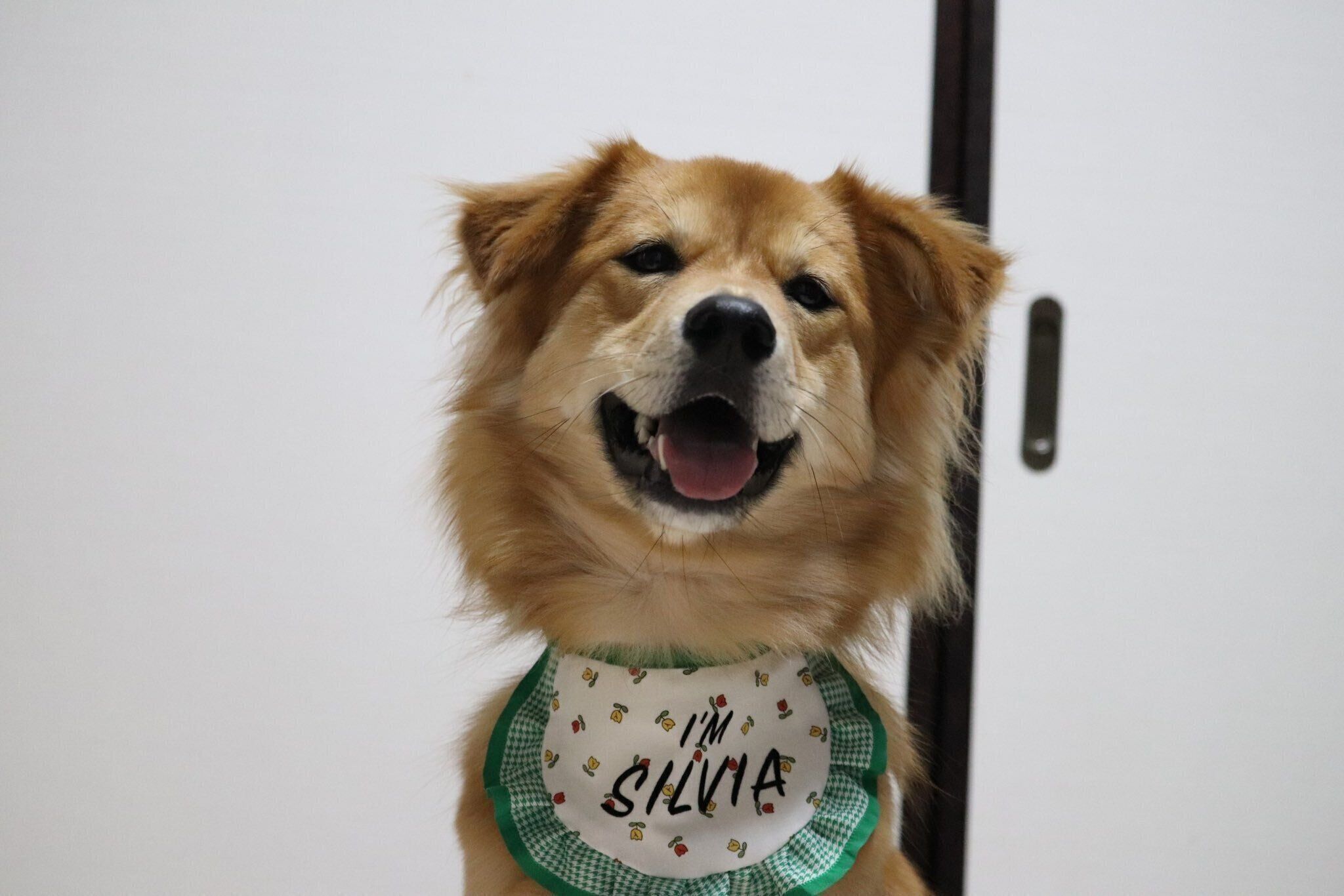 笑顔が可愛いエスちゃん