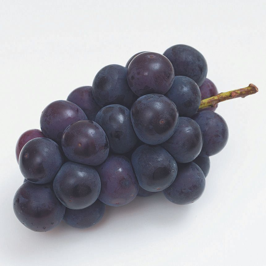 ぶどうのほか、レーズン、レーズンパンも要注意！