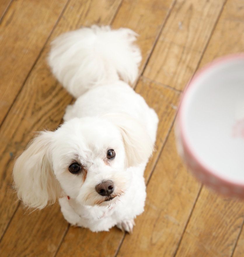 撮影／尾﨑たまき