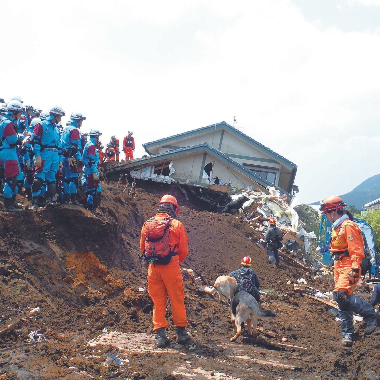 多くの家が倒壊した、2016年に発生した熊本地震。このときにも災害救助犬が出動し、捜索活動にあたりました