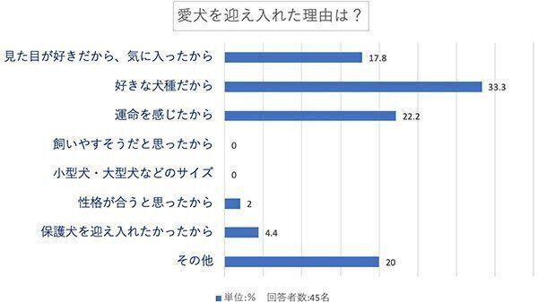 愛犬を迎え入れた理由は?