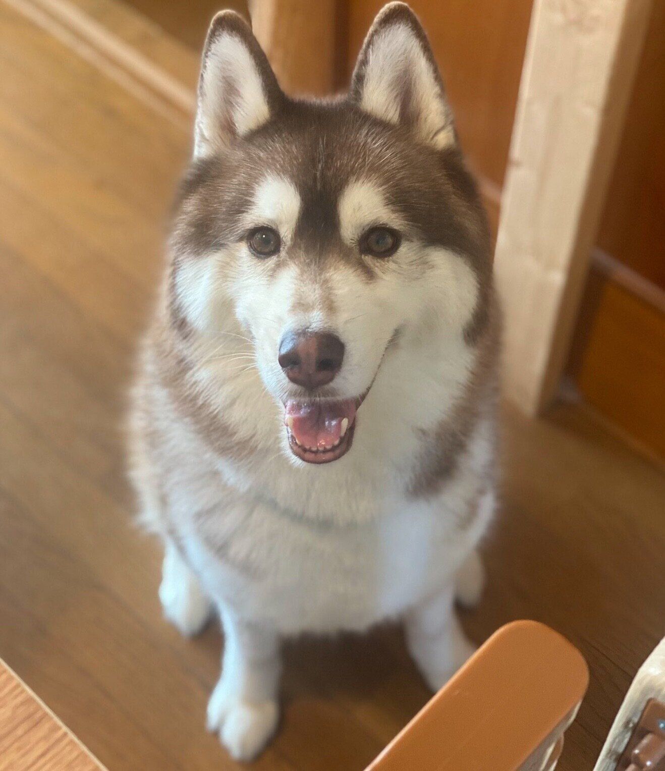 笑顔が可愛いくーちゃん