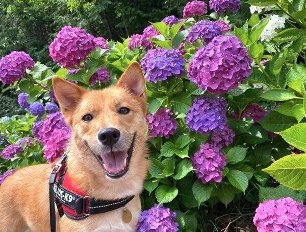 笑顔のむぎちゃん