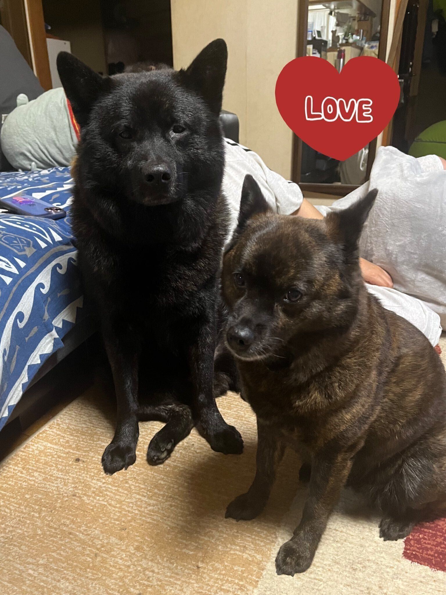 一緒に暮らすゆうちゃん（写真右）