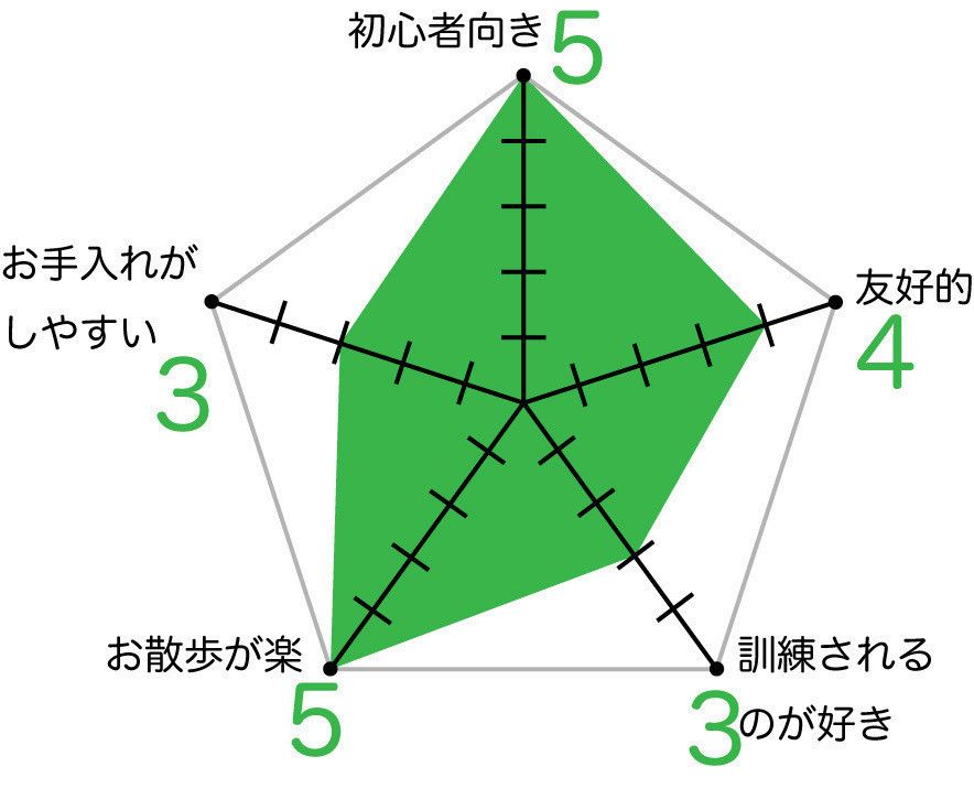 シーズーのグラフ