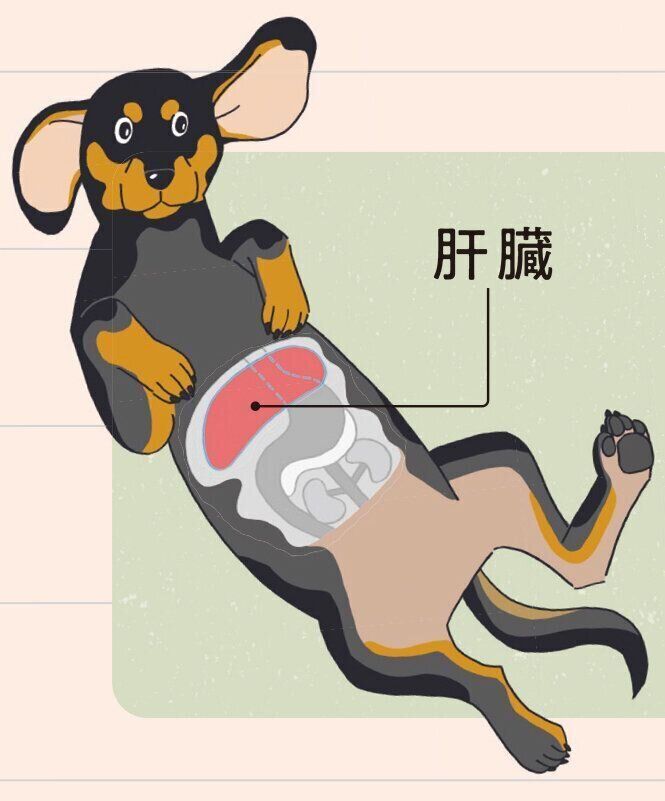 イラスト／福田玲子