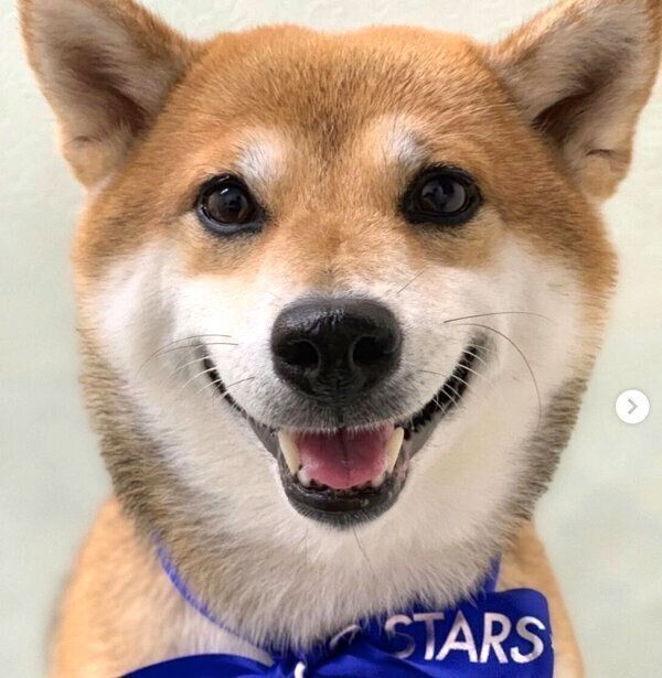 笑顔のHanaちゃん