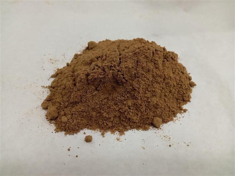 昆虫タンパク　ドッグフード