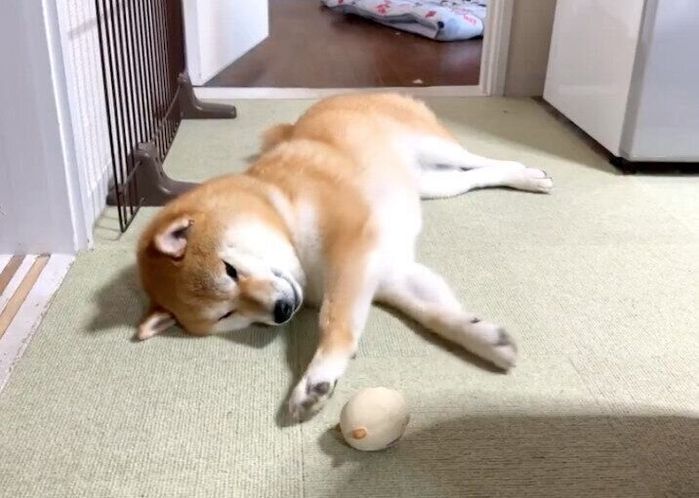 「省エネな遊び」をするそらまめくん