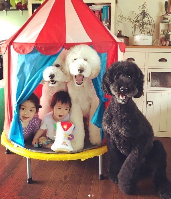 大集合するくぅさん・りっくん・がっくん・まめちゃん・むぎくん