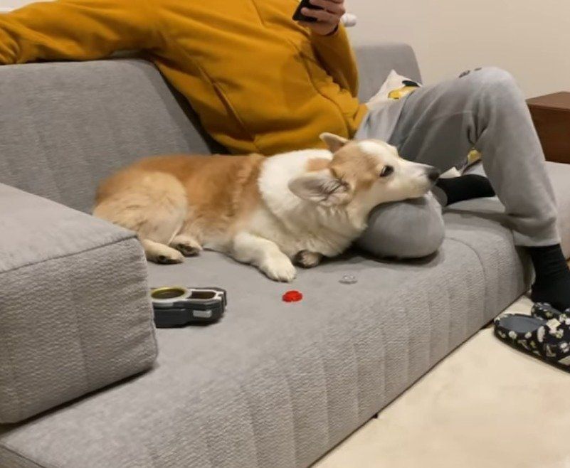 パパのひざの上