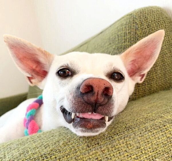 まったりするすずちゃん