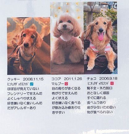 浜田さん自作の愛犬情報の一部
