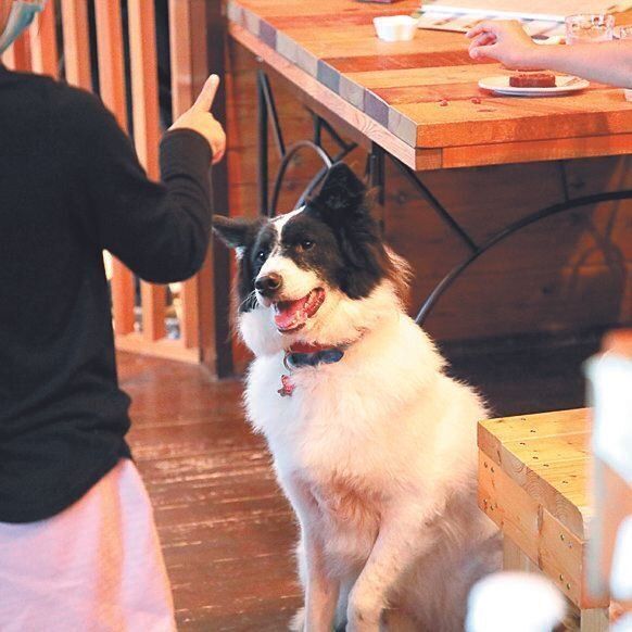 撮影／尾﨑たまき