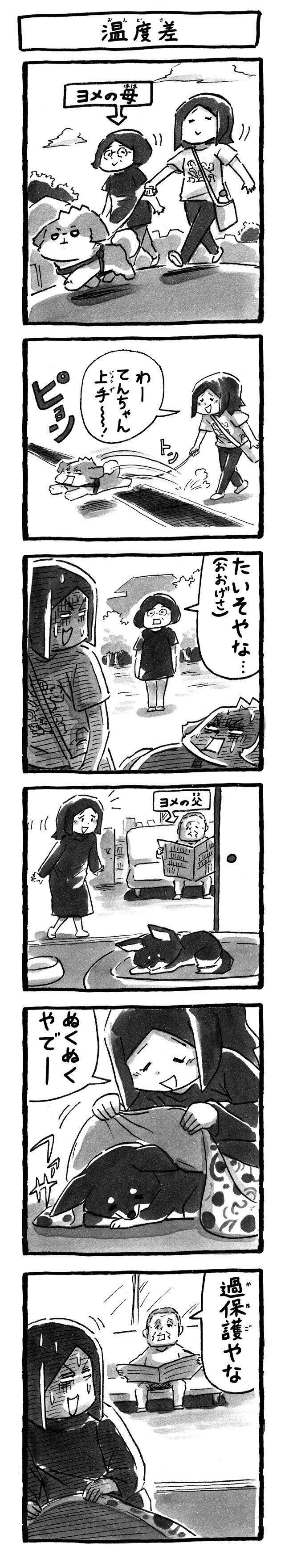 シーズー犬マンガてんぽshihtzu