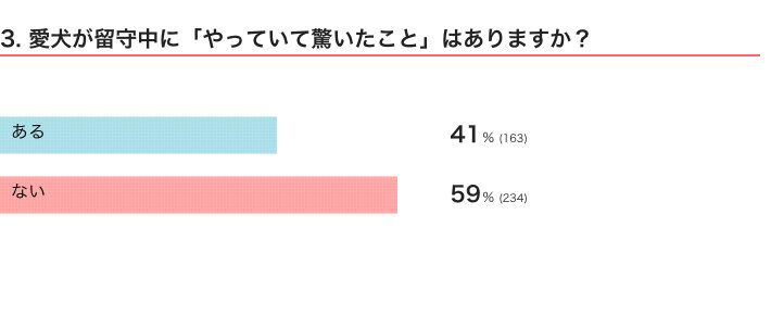 いぬのきもちWEB MAGAZINE　愛犬の留守番に関するアンケートvol.01　400件の回答