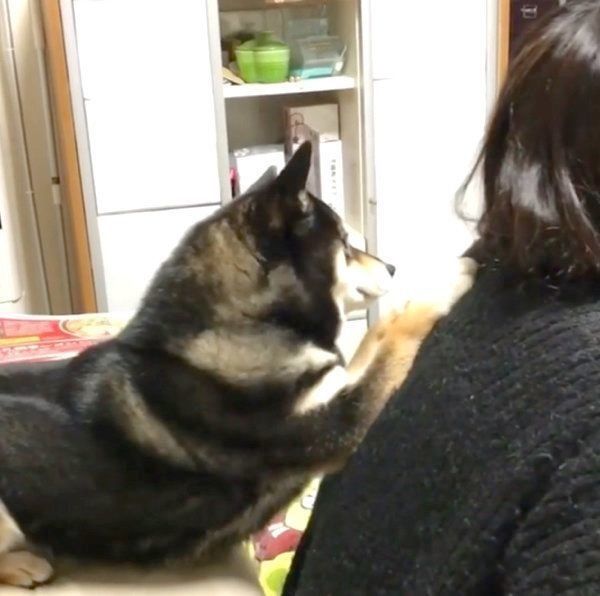 寄りかかる吾子ちゃん